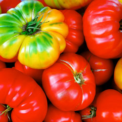 tomato-pepper-2