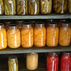 Preserving the Harvest