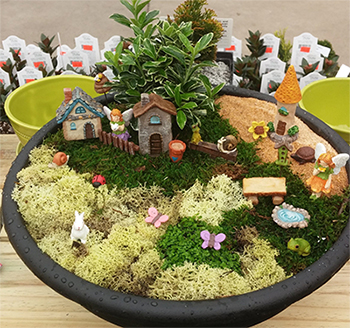 section image Fairy Gardens