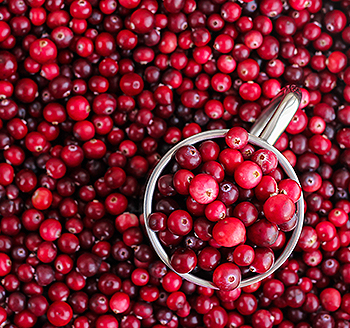 section image Fresh Cranberries