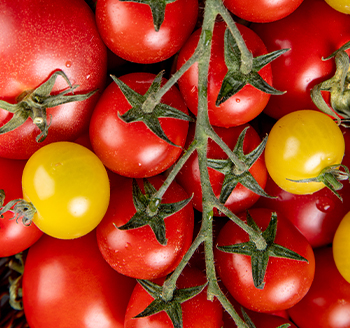 section image Vine Ripe Tomatoes